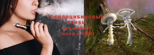 первитин Гусиноозёрск