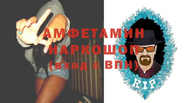 ГАЛЛЮЦИНОГЕННЫЕ ГРИБЫ Гусь-Хрустальный
