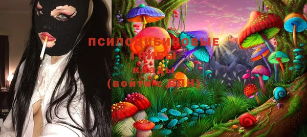 первитин Гусиноозёрск