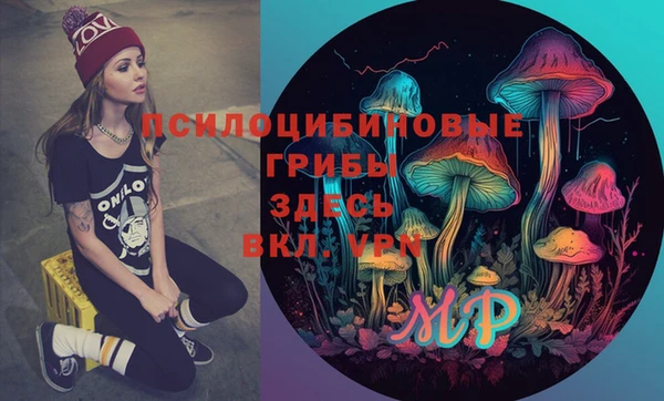 ГАЛЛЮЦИНОГЕННЫЕ ГРИБЫ Гусь-Хрустальный