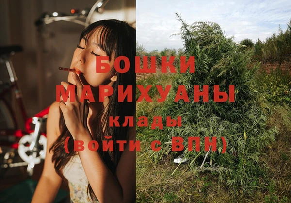 первитин Гусиноозёрск