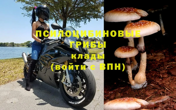 первитин Гусиноозёрск