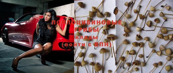 ГАЛЛЮЦИНОГЕННЫЕ ГРИБЫ Гусь-Хрустальный