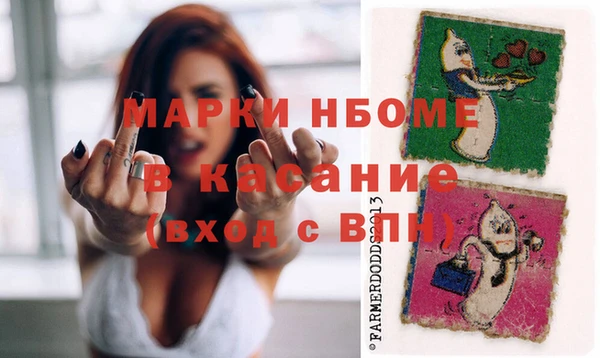 ГАЛЛЮЦИНОГЕННЫЕ ГРИБЫ Гусь-Хрустальный