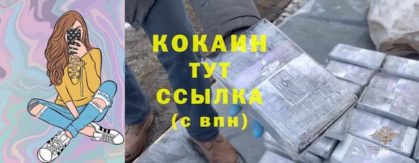 ГАЛЛЮЦИНОГЕННЫЕ ГРИБЫ Гусь-Хрустальный