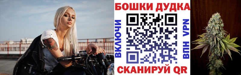 МАРИХУАНА сатива Нерехта